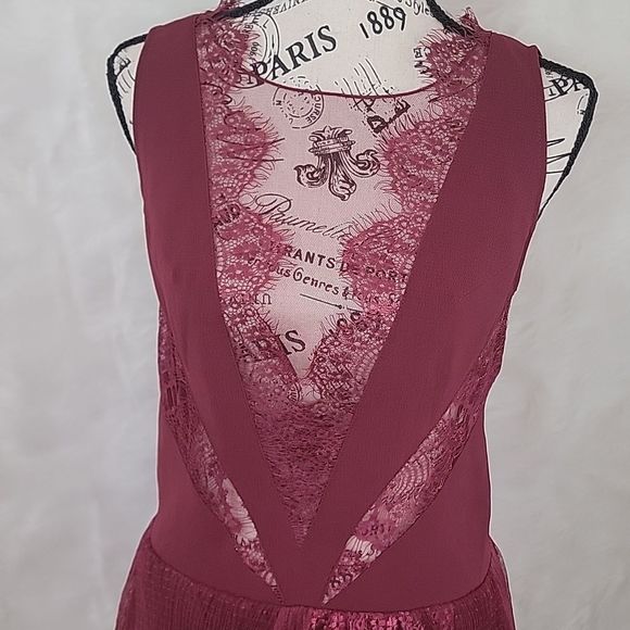 FREE PEOPLE DOVE LACE PANEL CROCHET  DRESS RICH BERRY - Picture 10 of 17